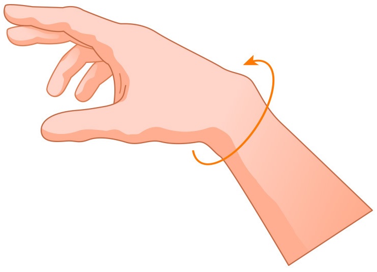 Epitact wrist measurement guide