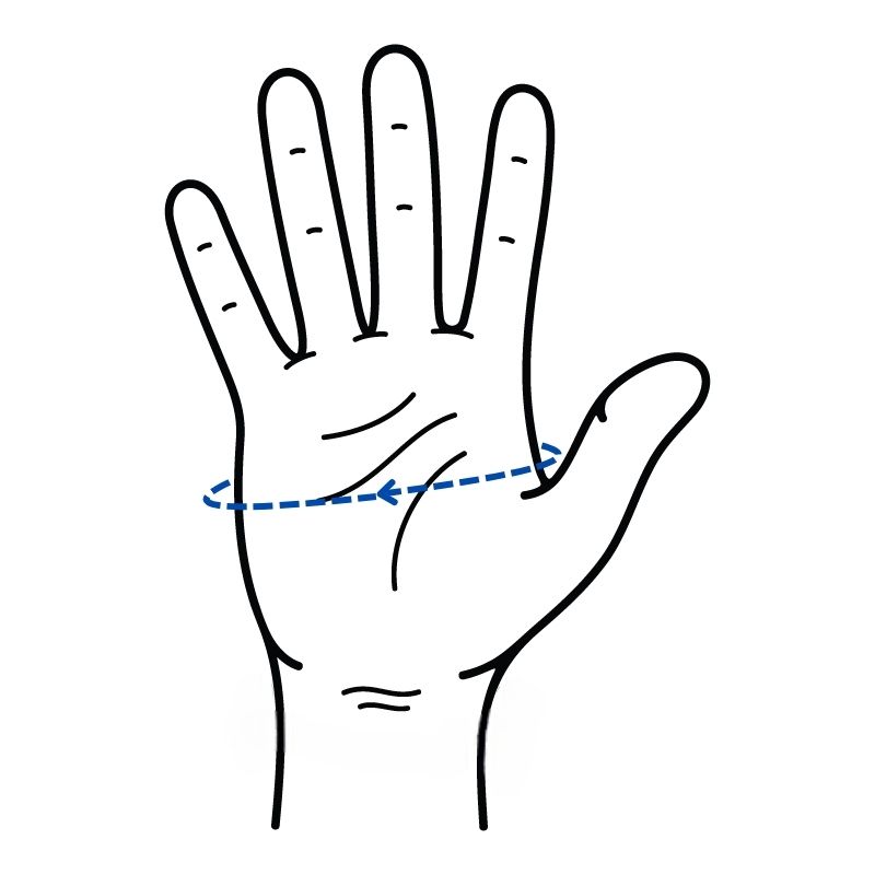 Epitact palm measurement guide